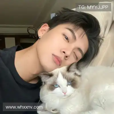 梅戈漪